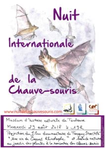 Nuit de la chauve-souris au Museum d'histoire naturelle de Toulouse (31) @ Museum d'Histoires Naturelles de Toulouse | Toulouse | Occitanie | France